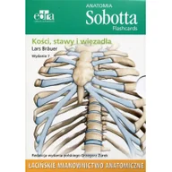Książki medyczne - Edra Urban & Partner Anatomia Sobotta Flashcards Kości stawy i więzadła - Brauer Lars - miniaturka - grafika 1