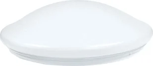 Lampa sufitowa Platinet PLATINET CEILING LAMP 12W 4000K WHITE FI300MM 100LM/W IP44 45255 - Lampy sufitowe - miniaturka - grafika 1