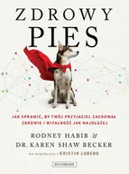 E-booki - poradniki - Zdrowy pies. Jak sprawić by twój przyjaciel zachował zdrowie i witalność jak najdłużej - miniaturka - grafika 1