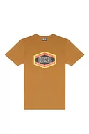 Koszulki męskie - Diesel Męski T-diegor-e14 T-shirt, 5 q-0 stopni, rozmiar X-Small - miniaturka - grafika 1