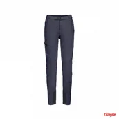 Spodnie damskie - Spodnie Damskie Softshellowe Jack Wolfskin Ziegspitz Pants - Graphite - miniaturka - grafika 1
