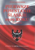 Historia świata - Pierwsze Powstanie Śląskie w zarysie - miniaturka - grafika 1