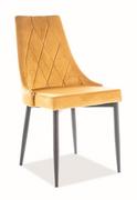 Krzesła - Krzesło Tapicerowane Trix B Czarne / Bluvel 68 Curry - miniaturka - grafika 1