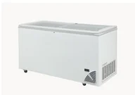 Szafy i witryny chłodnicze - Zamrażarka sklepowa przeszklona BYFAL ARO-601/2 - miniaturka - grafika 1