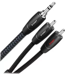 AudioQuest Sydney 3,5 MM wtyczka jack-cinch 1 m (AE 5.103) - Kable - miniaturka - grafika 1