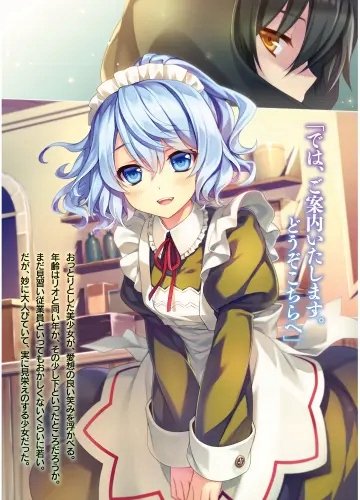 Plakat Anime Seirei Gensouki sgs_010 A2 (custom)