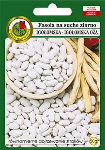 Fasola 'IGOŁOMSKA' odmiana bardzo wczesna Świeże Nasiona Naturalne 50g - Nasiona i cebule - miniaturka - grafika 1