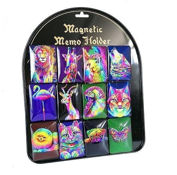 Magnes wypukły neon 12szt
