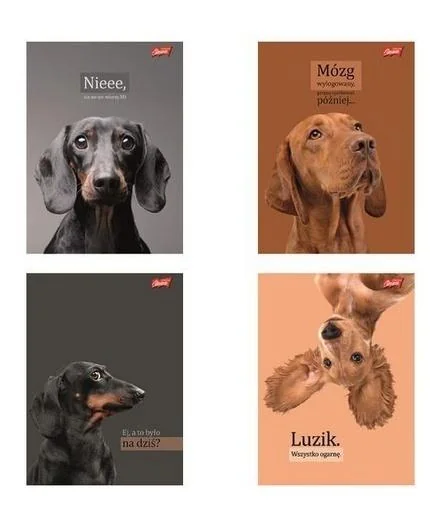 Zeszyt A4 w kratkę 60 kartek Doggy Moods 10 sztuk