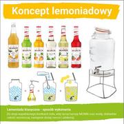 Soki i napoje niegazowane - MONIN Koncept Lemoniadowy Monin Słój + syropy do lemoniady o smaku mojito mint 6315-uniw - miniaturka - grafika 1