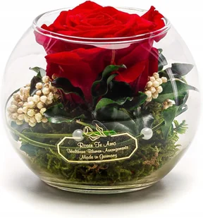 ZAKONSERWOWANA WIECZNA CZERWONA RÓŻA W SZKLE RĘCZNIE WYKONANA NA PREZENT - Sztuczne kwiaty ZAKONSERWOWANA WIECZNA CZERWONA RÓŻA W SZKLE RĘCZNIE WYKONANA NA PREZENT - Sztuczne kwiaty - miniaturka - grafika 1