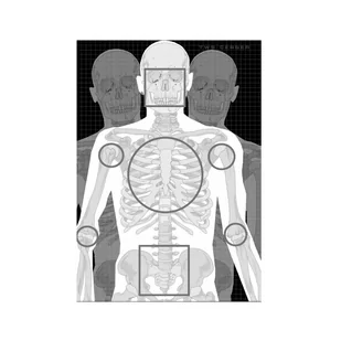 Tactical Weapon System - Tarcza strzelecka sylwetkowa TWS CERBER SKELE - Tarcze i kulochwyty - miniaturka - grafika 1
