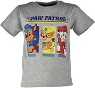 Koszulki dla dziewczynek - T-shirt dla dzieci Psi Patrol Szary - miniaturka - grafika 1