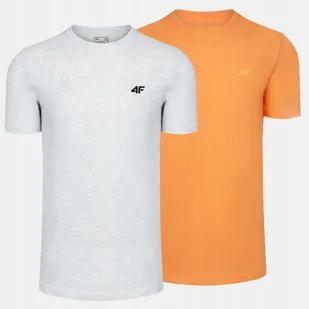 T-SHIRT MĘSKI 4F KOSZULKA BAWEŁNIANA SPORTOWA BASIC ZESTAW 2SZT KOMPLET - Koszulki męskie - miniaturka - grafika 1
