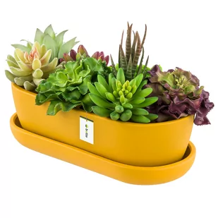 Doniczka ceramiczna nowoczesny kolor Żółty Mat 27,5 cm Owalna Kaktusiarka - Donice - miniaturka - grafika 1