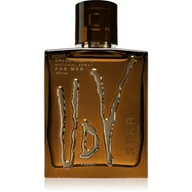 Wody i perfumy męskie - Ulric de Varens Udv Star 100 ml - miniaturka - grafika 1