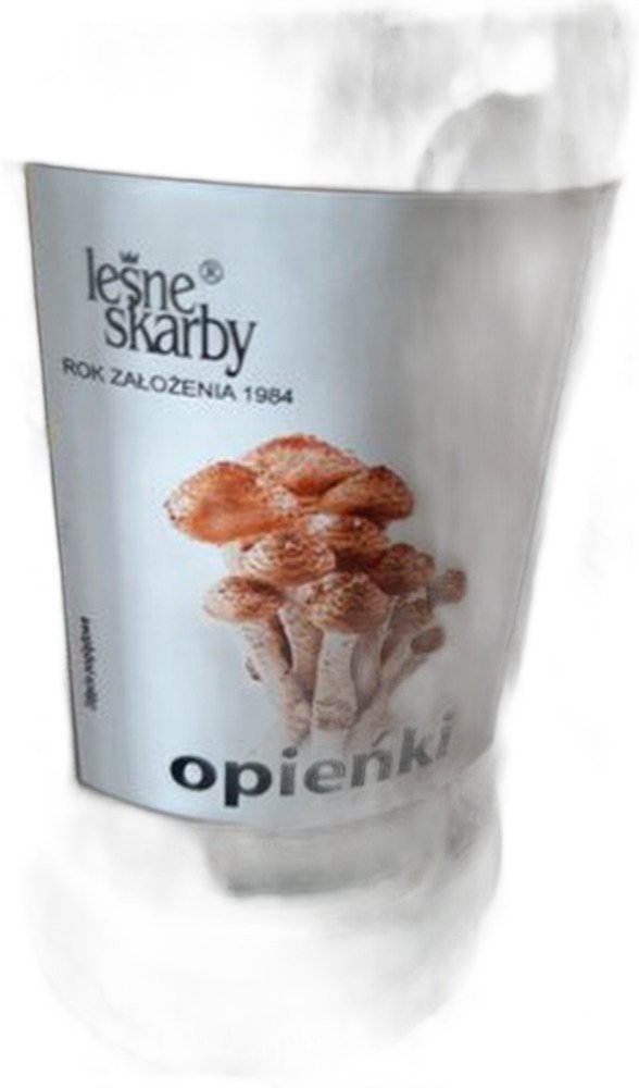 Opieńki marynowane całe Selgros 280 g