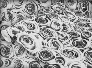 Dekoracyjna Okleina Meblowa Szare Róże Na Regał Szafkę Komodę 45x100 - Tapety - miniaturka - grafika 1