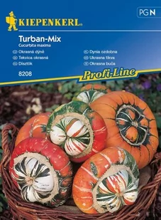 Kiepenkerl Dynia ozdobna Turban mix Cucurbita moschata 102305 - Nasiona i cebule - miniaturka - grafika 1