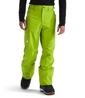 Spodenki męskie - THE NORTH FACE Męskie spodnie Freedom, trawa łąkowa, S - miniaturka - grafika 1