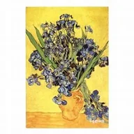 Podobrazia, bloki, papiery - Szkicownik 120K A5 Irysy, P20 - miniaturka - grafika 1