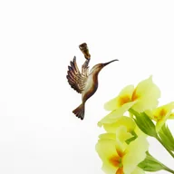 Wisiorki - Koliber brązowy - zawieszka srebrna - miniaturka - grafika 1