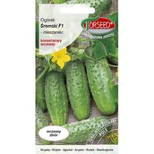 Nasiona i cebule - TORSEED nasiona OGÓREK GRUNTOWY KONSERWOWY WCZESNY ŚREMSKI 2 G - miniaturka - grafika 1