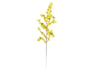 Sztuczne kwiaty - Gałązka forsycji - 67 cm - 1 szt. - miniaturka - grafika 1