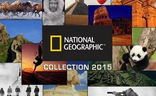 Walizka National Geographic Cruise średnia 4koła 68l - Walizki - miniaturka - grafika 7