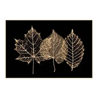 Obrazy i zdjęcia na płótnie - Obraz Deco box Suszki liście 60 x 90 cm - miniaturka - grafika 1