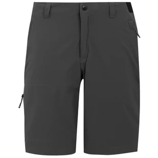 Męskie szorty Regatta Eldes Shorts Rozmiar: L / Kolor: szary - Spodenki męskie - miniaturka - grafika 1
