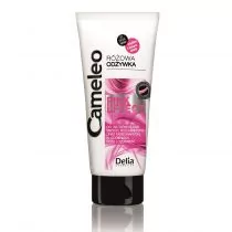 Delia Cameleo Pink Efect Intensywnie regenerująca odżywka do włosów z efektem różowych refleksów 200ml 5901350475119 - Odżywki do włosów - miniaturka - grafika 1