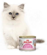 Mokra karma dla kotów - Royal Canin bytówka Babycat Instinctive Feline - 12 x 195g puszka - miniaturka - grafika 1