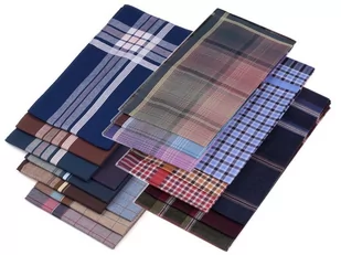 Chusteczki męskie ( 10 szt ) - Apteczki i materiały opatrunkowe - miniaturka - grafika 1