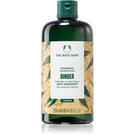 Szampony do włosów - The Body Shop Szampon Imbirowy Imbir 250ml - miniaturka - grafika 1