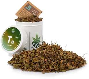 TULSI do WAPORYZACJI susz zioła stres trawienie układ odpornościowy - Zioła - miniaturka - grafika 1