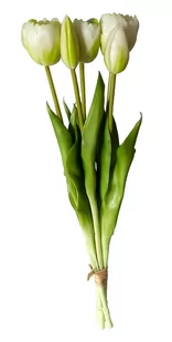 Tulipany silikonowe jak żywe białe bukiet 5 sztuk gumowe 43 cm - Sztuczne kwiaty Tulipany silikonowe jak żywe białe bukiet 5 sztuk gumowe 43 cm - Sztuczne kwiaty - miniaturka - grafika 1