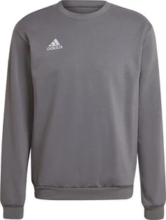Adidas Bluza męska adidas Entrada 22 Sweat Top szara H57479 XL - Bluzy męskie - miniaturka - grafika 1