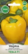 Nasiona i cebule - Papryka Tesla F1 20 nasion nasiona - WegAna - miniaturka - grafika 1