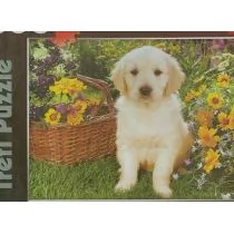 Trefl Labradorek w ogrodzie 37160 - Puzzle - miniaturka - grafika 1