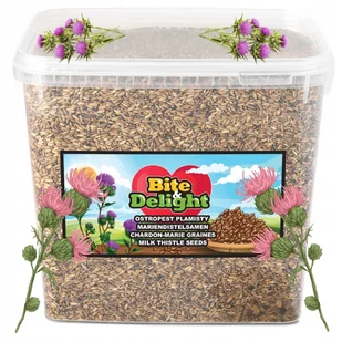 Ostropest plamisty ziarno wątroba na oczyszczenie świeży detoks detox 6000g - Ziarna i nasiona roślin strączkowych - miniaturka - grafika 1