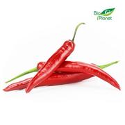 Warzywa świeże i suszone - ŚWIEŻE (owoce, warzywa, grzyby) - tacki i sztuki PAPRYKA CHILI ŚWIEŻA BIO (około 0,10 kg) BP-5907738156359 - miniaturka - grafika 1