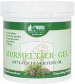 Żele i maści lecznicze - Żel z Sadłem Świstaka i Sosną Górską, Pullach Hof, 250ml - miniaturka - grafika 1