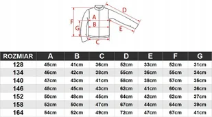 4F OCIEPLANA DZIEWCZÄCA BLUZA ROZPINANA Z KAPTUREM / rozm 164 - Bluzy męskie 4F OCIEPLANA DZIEWCZÄCA BLUZA ROZPINANA Z KAPTUREM / rozm 164 - Bluzy męskie - miniaturka - grafika 1
