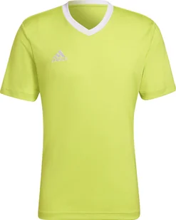 Adidas Koszulka adidas ENTRADA 22 JSY HC5078 HC5077 zielony XL - Koszulki męskie - miniaturka - grafika 1