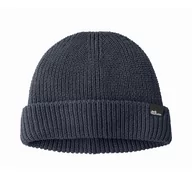 Czapki męskie - Czapka zimowa Jack Wolfskin FISCHER BEANIE night blue - ONE SIZE - miniaturka - grafika 1