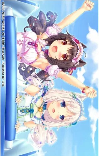 Plakat Anime Manga Nekopara np_125 A2 (custom)