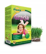 Nasiona i cebule - Trawa mieszanka traw Planta 36 m² 0,9 kg zielony dywan, nisko rośnie - miniaturka - grafika 1