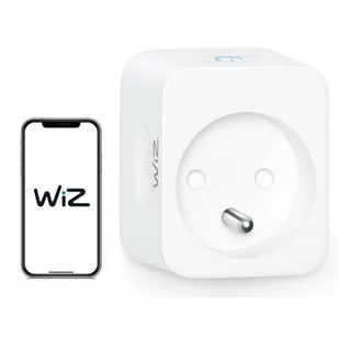 WiZ WiZ Signify Poland Sp z o.o WiZ wtyczka Smart z uziemieniem 8718699789343 929002427715 - Systemy inteligentnych domów - miniaturka - grafika 1