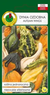 Dynia ozdobna Autumn Wings mieszana 1 g PNOS - Nasiona i cebule - miniaturka - grafika 1